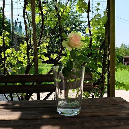 In Collina B&B Trento Luaran gambar